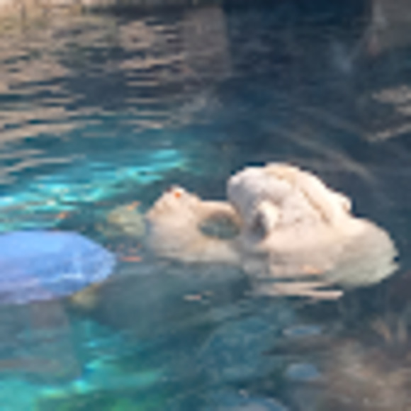 Meet your Posher, Joan - Picture 1 of 1